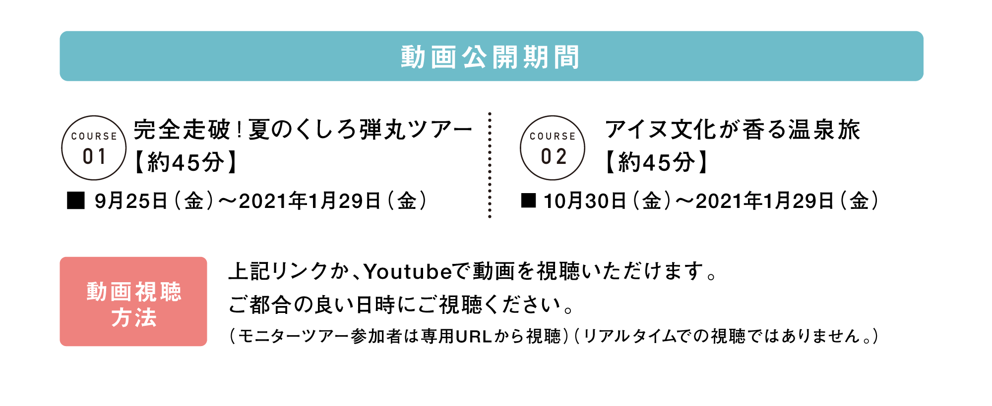 動画公開期間